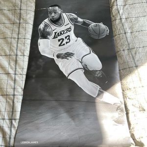 Black and White Lebron James Magnetized Poster